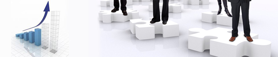 Business Performance Monitoring